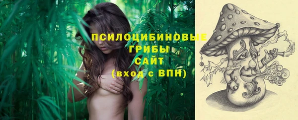 apvp Алексеевка