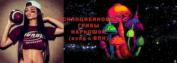 винт Алексин