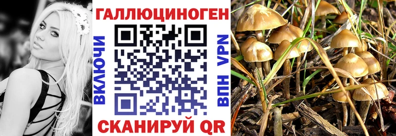 Псилоцибиновые грибы прущие грибы  Купить  Домодедово 